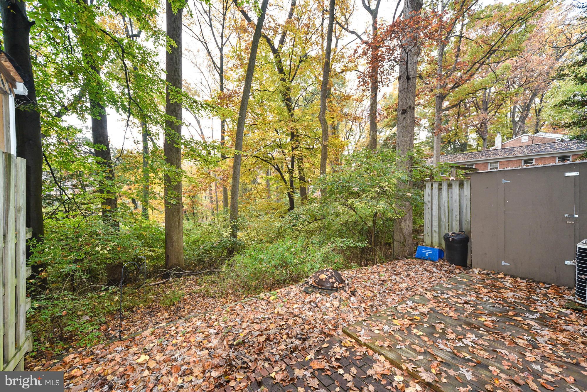 8525 Geren Road, Unit 222 Silver Spring, MD 20901 - Photo 19 of 21 Exterior (Rear)