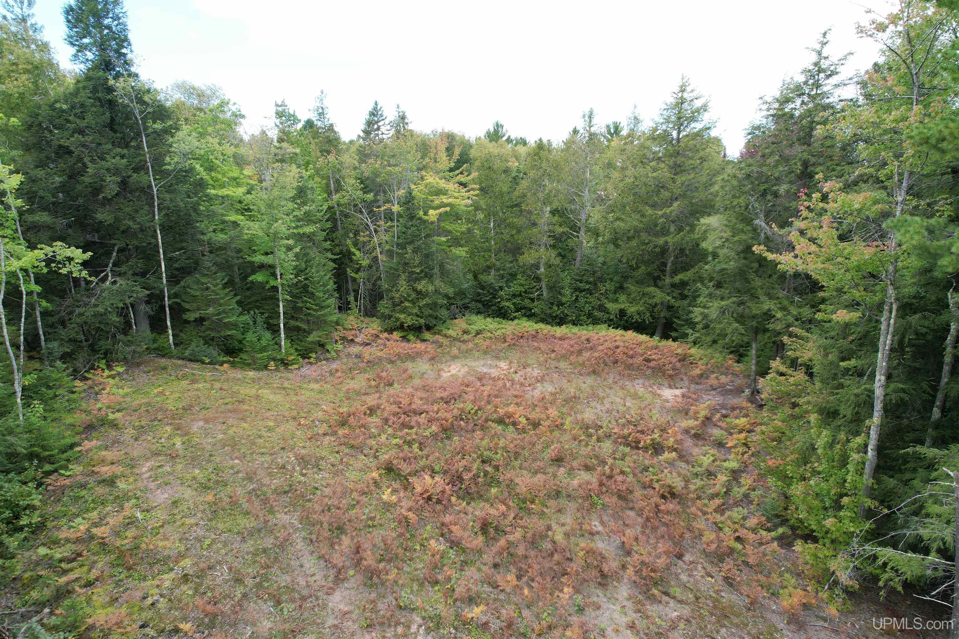 Tbd Evergreen Road Toivola, MI 49965 - Photo 45 of 62
