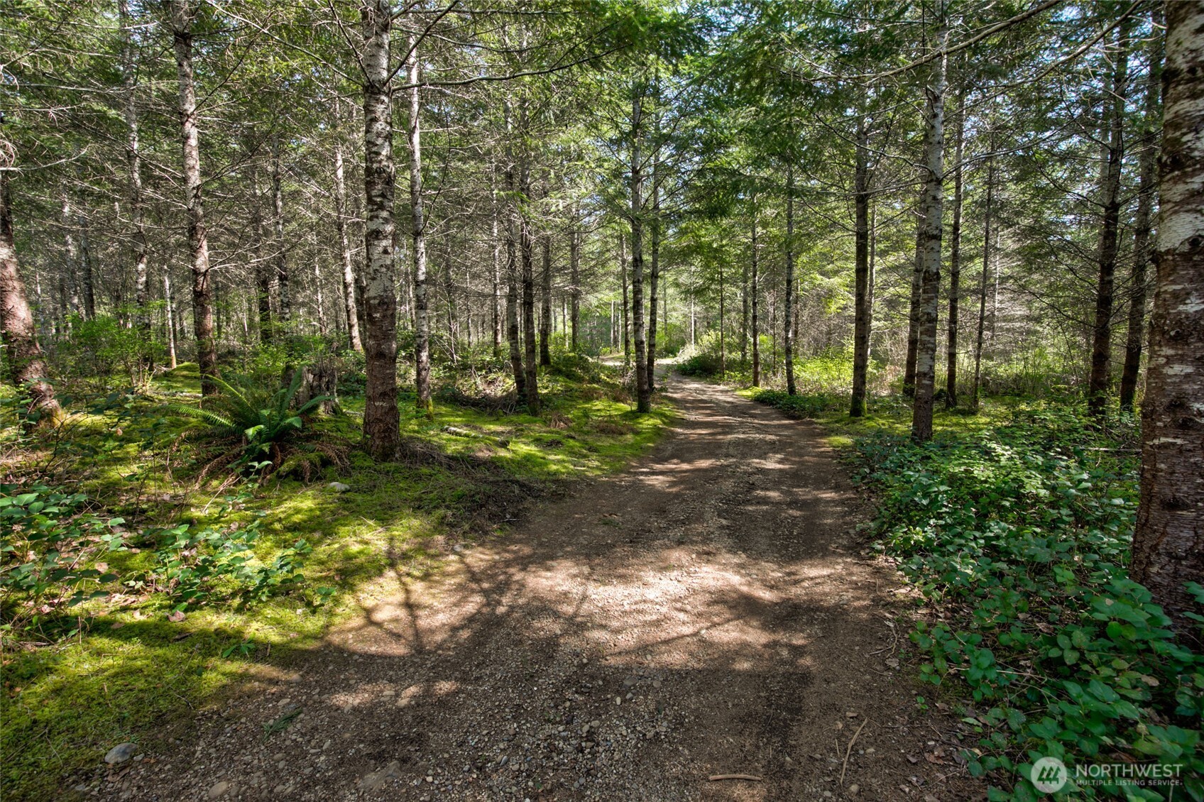 0 West Benthein Road Elma, WA 98541 - Photo 16 of 25 Gallery Image 16
