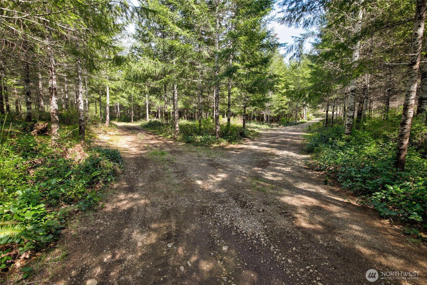 0 West Benthein Road Elma, WA 98541 - Photo 3 of 25 Gallery Image 3