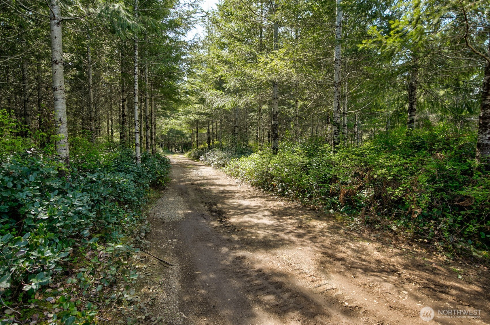 0 West Benthein Road Elma, WA 98541 - Photo 7 of 25 Gallery Image 7