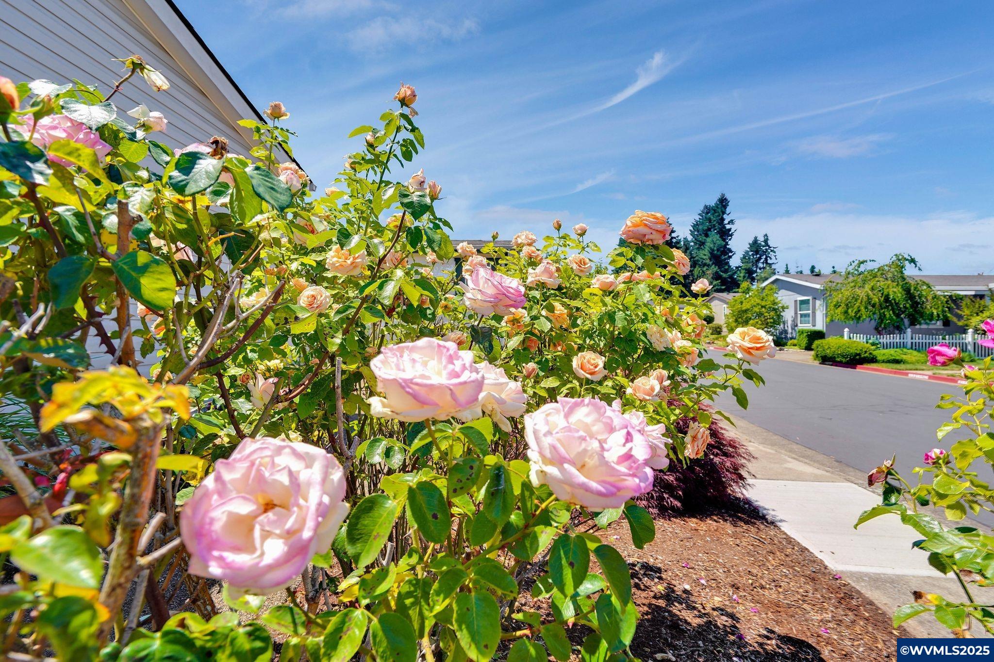 1630 Wallace Road Northwest, Unit 18 Salem, OR 97304 - Photo 34 of 37