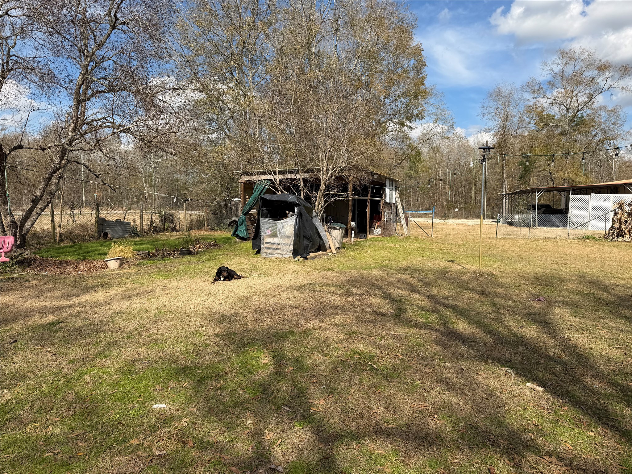11 June Lane Shepherd, TX 77371 - Photo 3 of 33 a view of a park with swings and slides