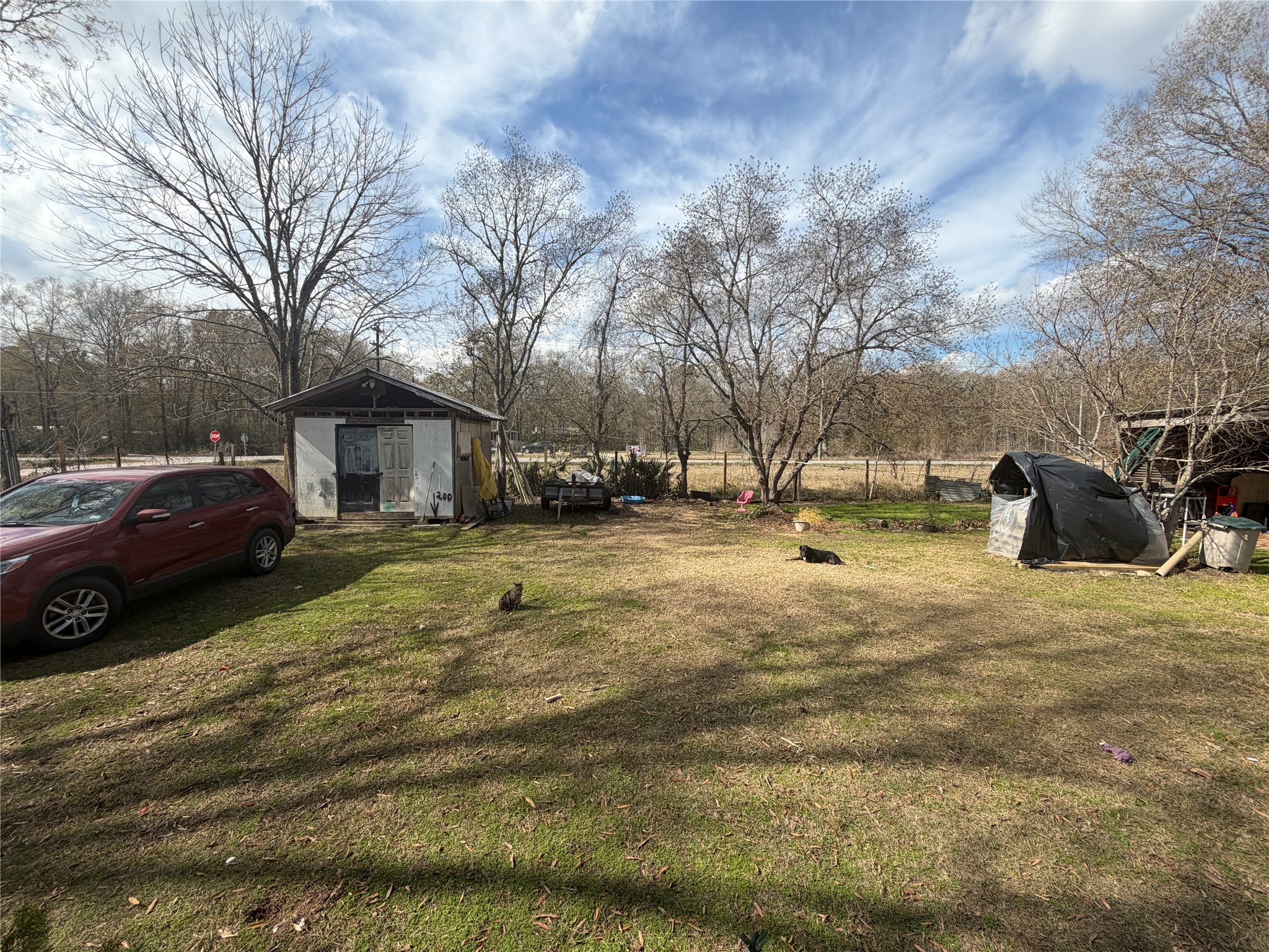 11 June Lane Shepherd, TX 77371 - Photo 7 of 33 a view of a yard with cars parked on the road