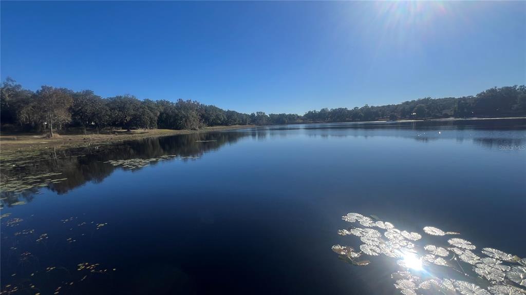 4244 N Road Fruitland Park, FL 34731 - Photo 13 of 18