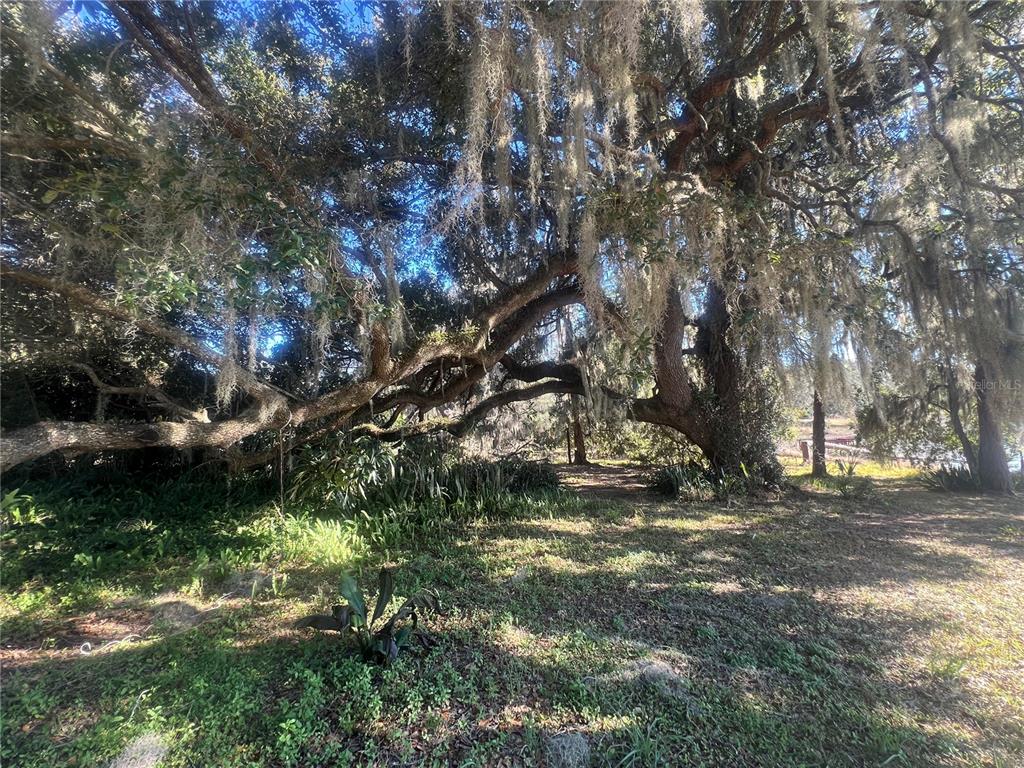 4244 N Road Fruitland Park, FL 34731 - Photo 6 of 18