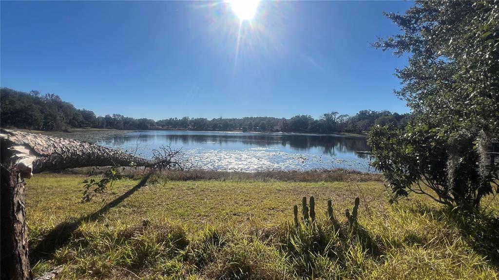 4244 N Road Fruitland Park, FL 34731 - Photo 8 of 18