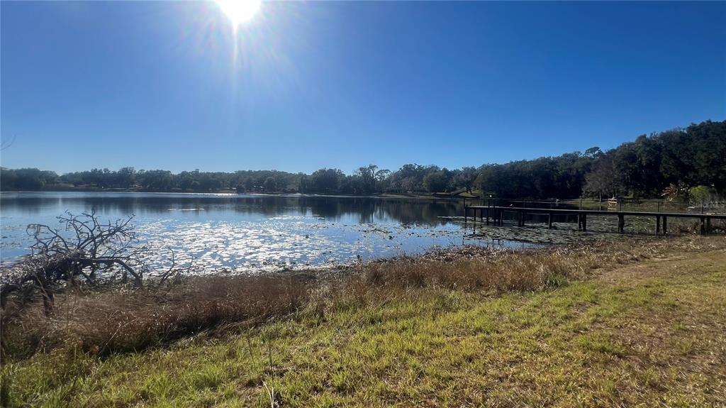 4244 N Road Fruitland Park, FL 34731 - Photo 9 of 18