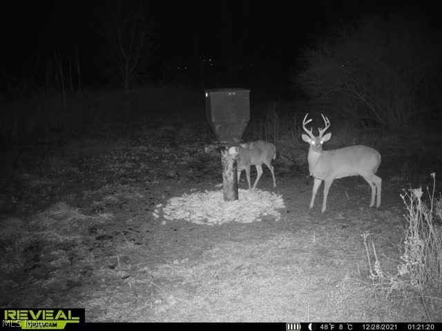 Ashton Hill Road Caldwell, OH 43724 - Photo 6 of 26