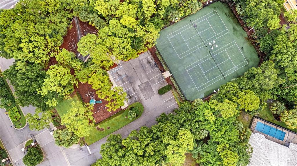 2229 Goshawk Court Naples, FL 34105 - Photo 26 of 26 a picture of a plant