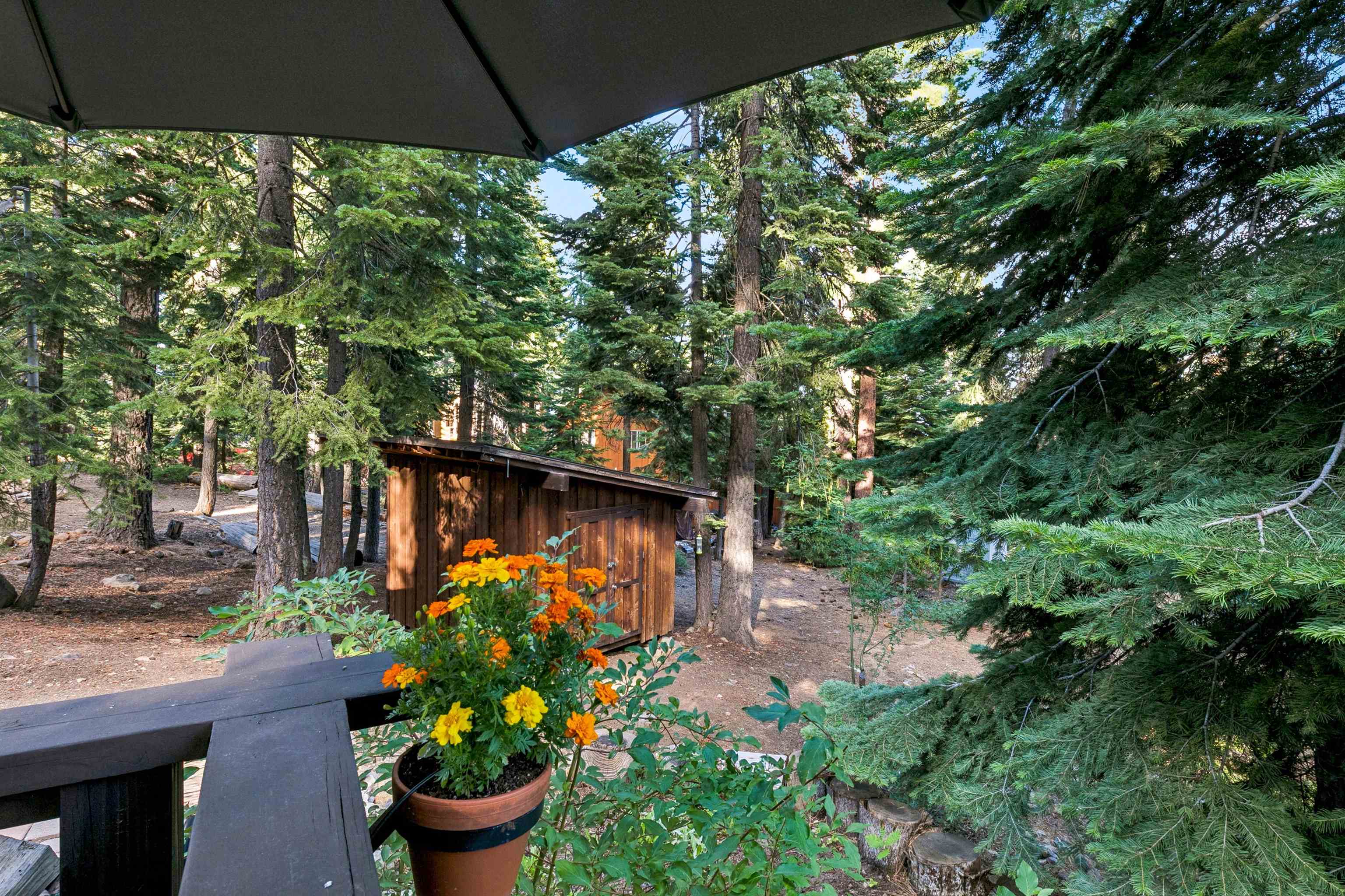 3870 Forest Road Carnelian Bay, CA 96140 - Photo 5 of 28 Gallery Image 5