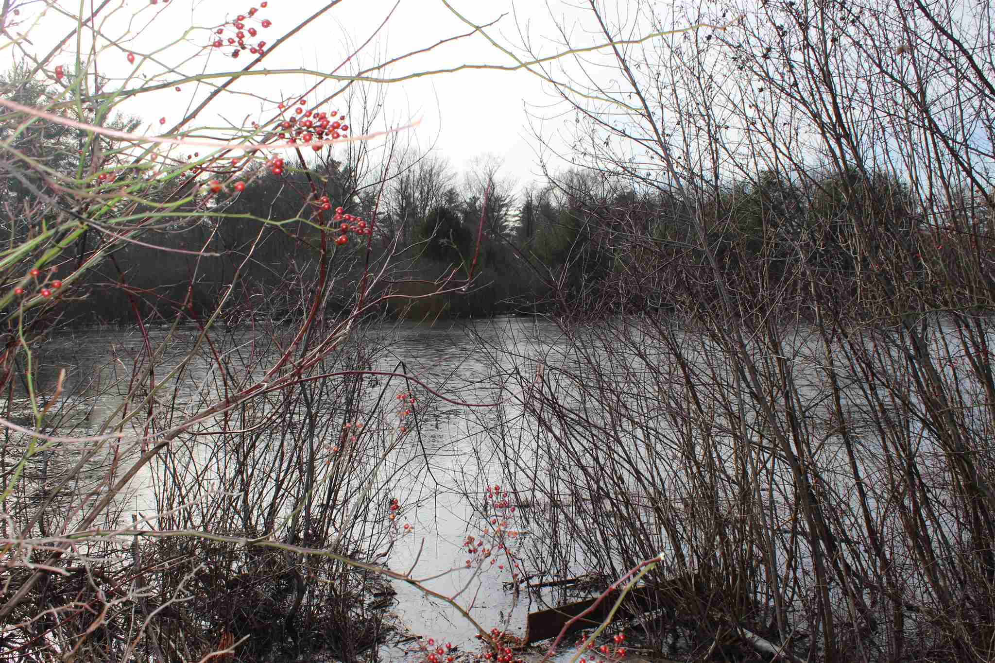 57 Exeter Road Kingston, NH 03848 - Photo 23 of 39