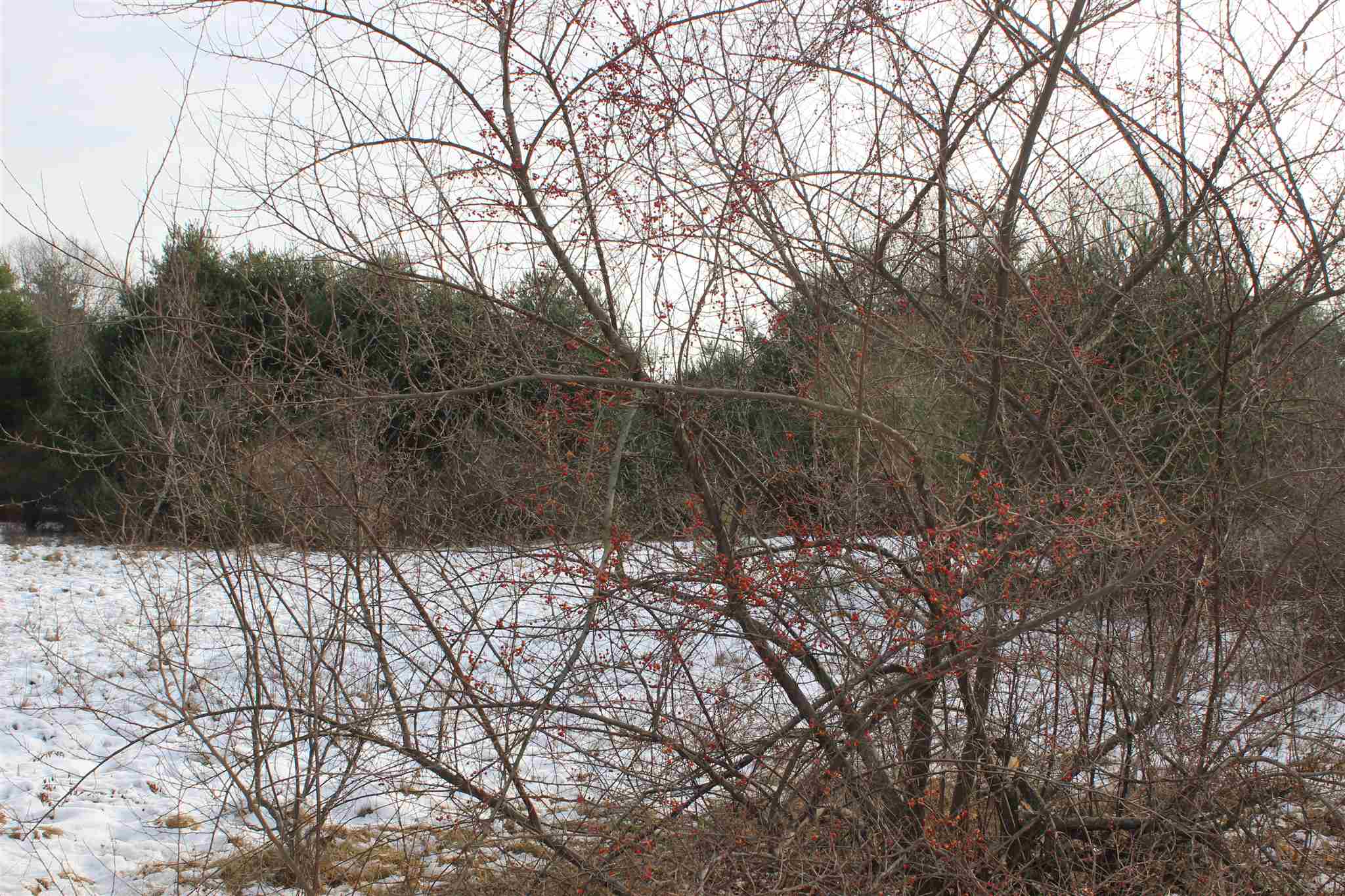 57 Exeter Road Kingston, NH 03848 - Photo 26 of 39