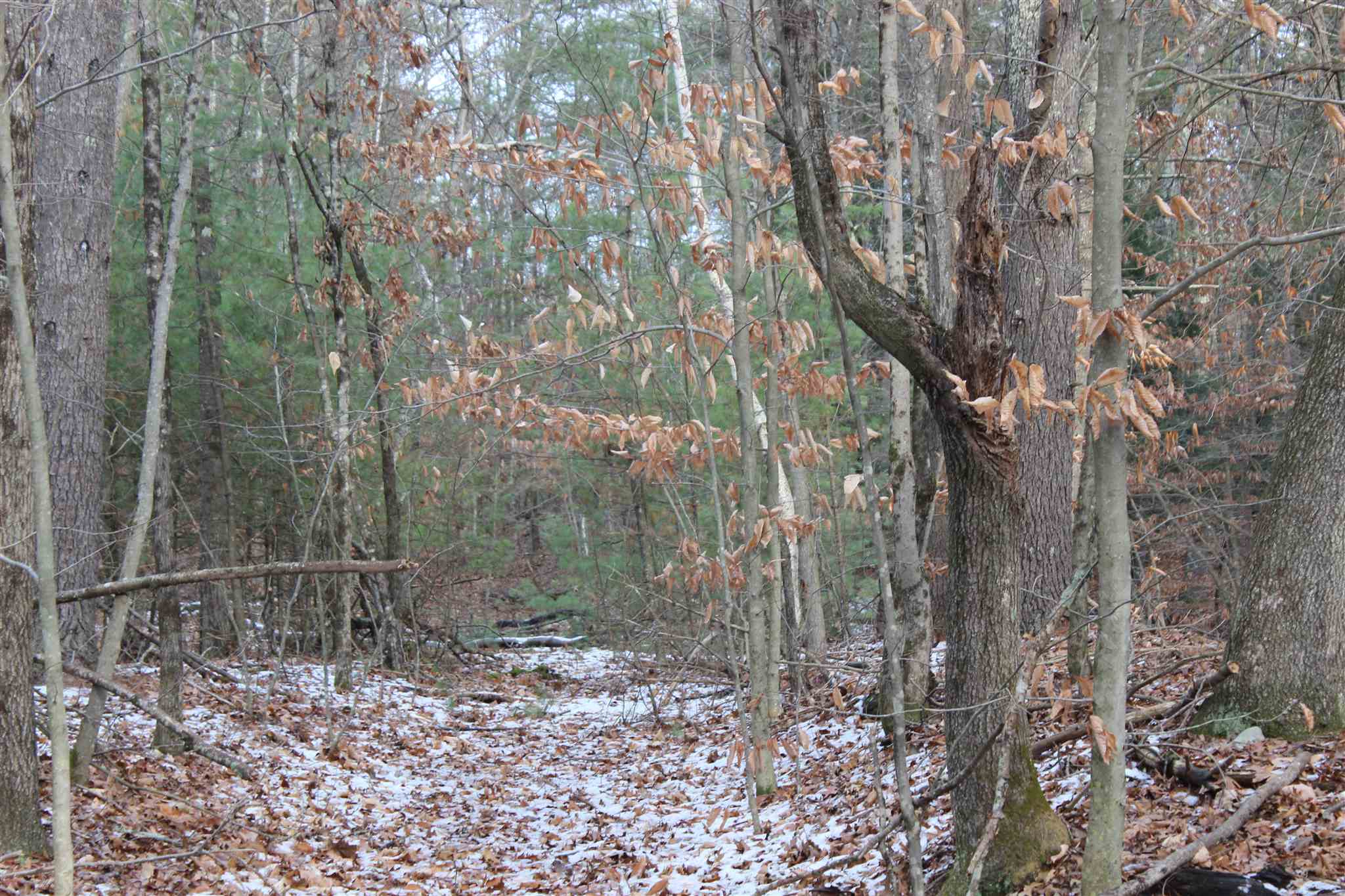 57 Exeter Road Kingston, NH 03848 - Photo 29 of 39