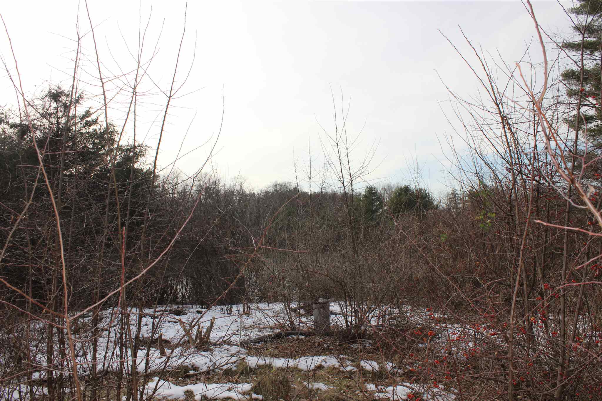 57 Exeter Road Kingston, NH 03848 - Photo 30 of 39