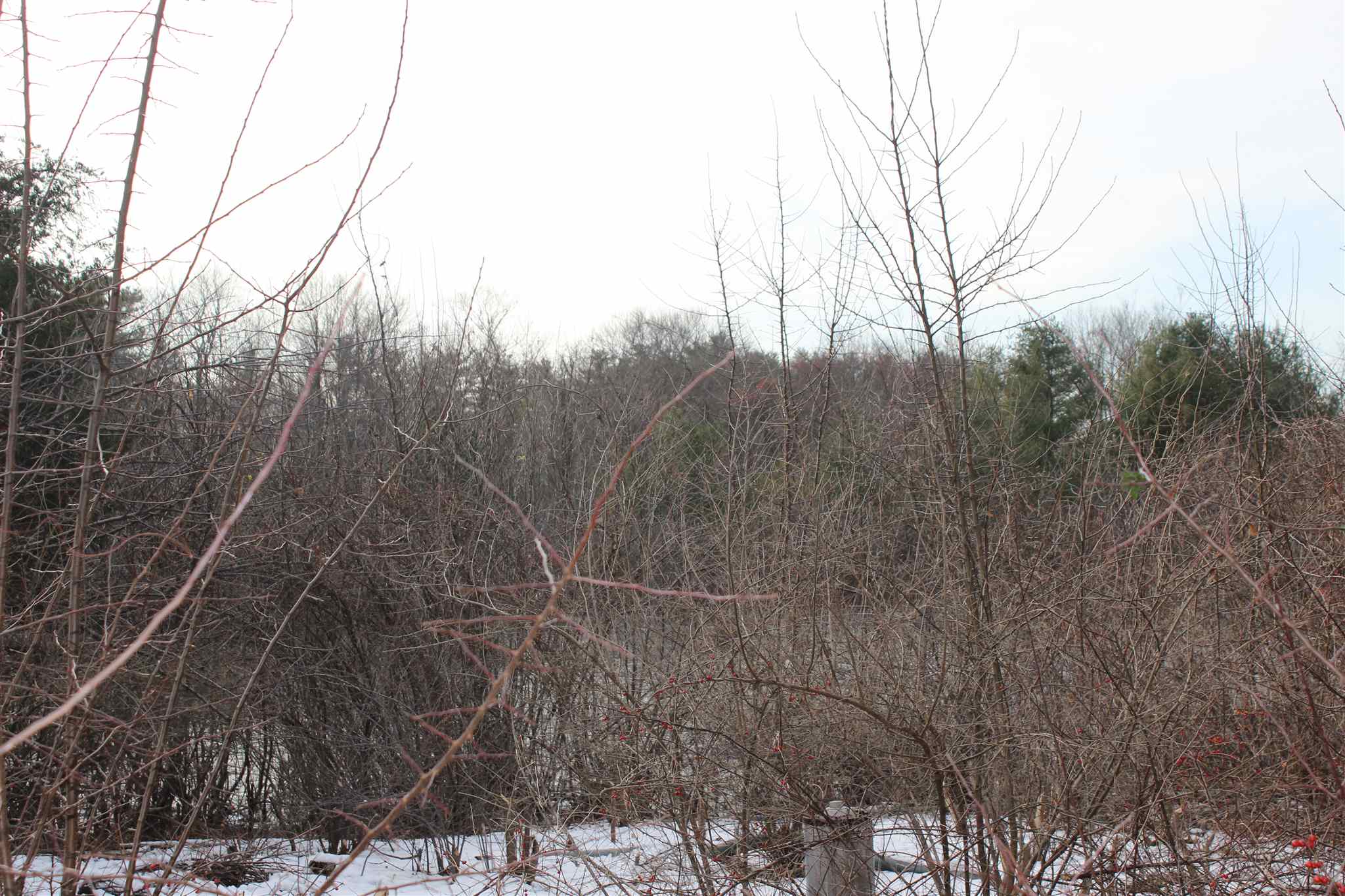 57 Exeter Road Kingston, NH 03848 - Photo 31 of 39