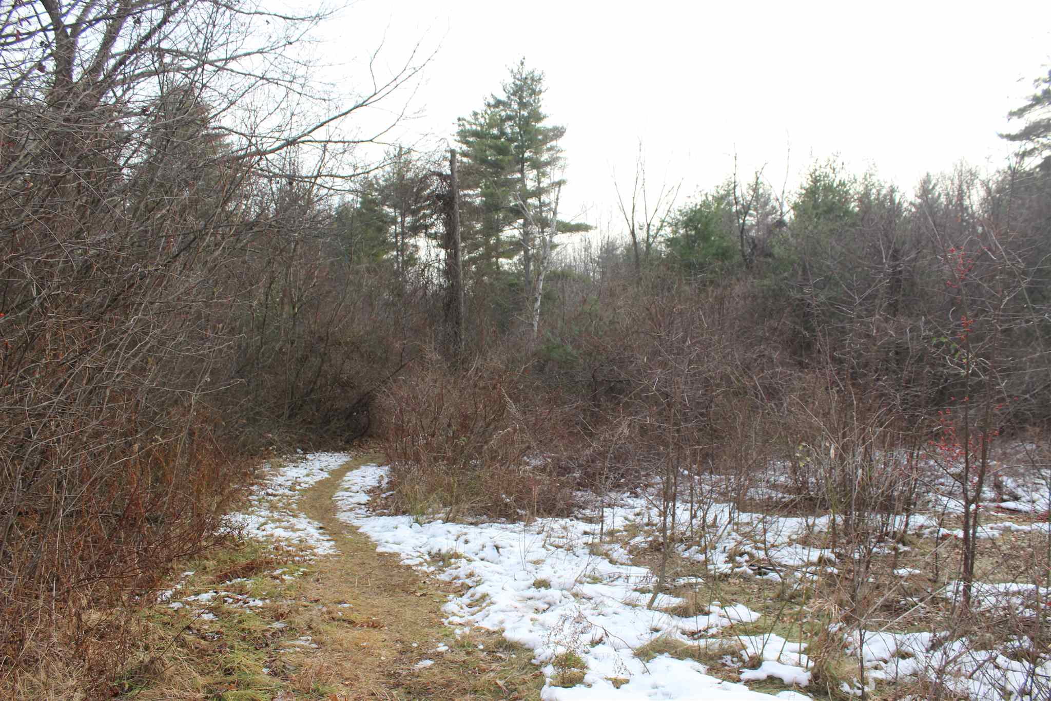 57 Exeter Road Kingston, NH 03848 - Photo 34 of 39