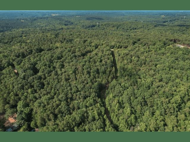 2111 Shaw Road Enoree, SC 29335 - Photo 2 of 5