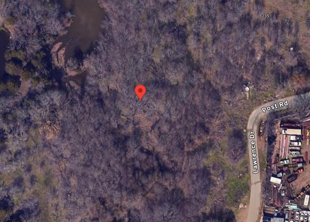 a close up of a tree