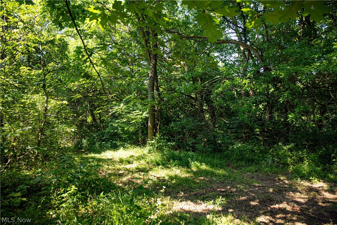 27339 Tabor Ridge Road Caldwell, OH 43724 - Photo 29 of 50