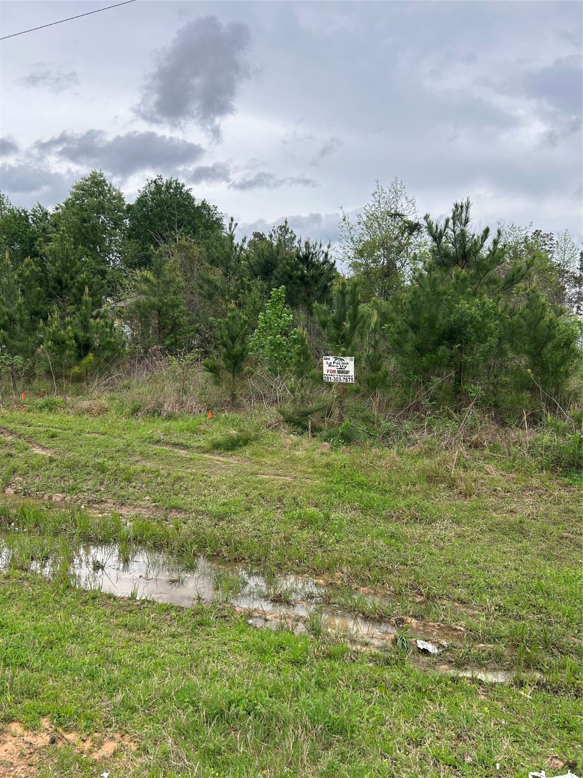 1760 Road 5018 Cleveland, TX 77327 - Photo 13 of 18