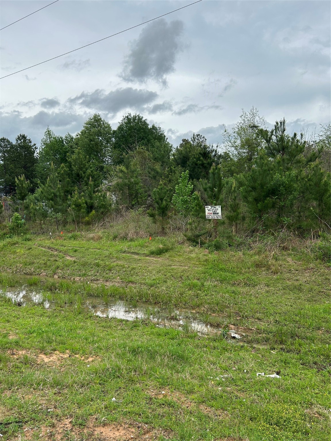 1760 Road 5018 Cleveland, TX 77327 - Photo 14 of 18