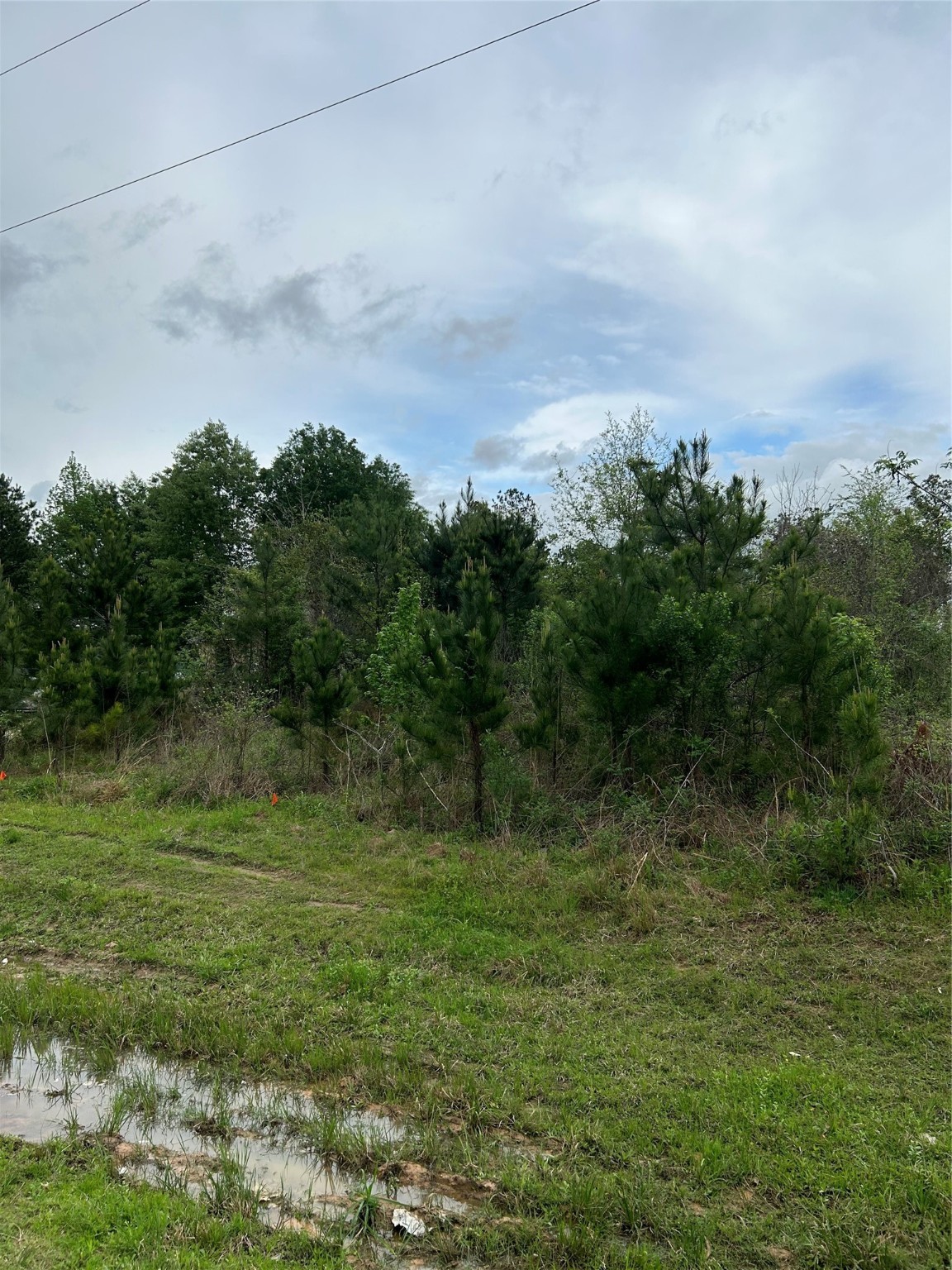 1760 Road 5018 Cleveland, TX 77327 - Photo 3 of 18