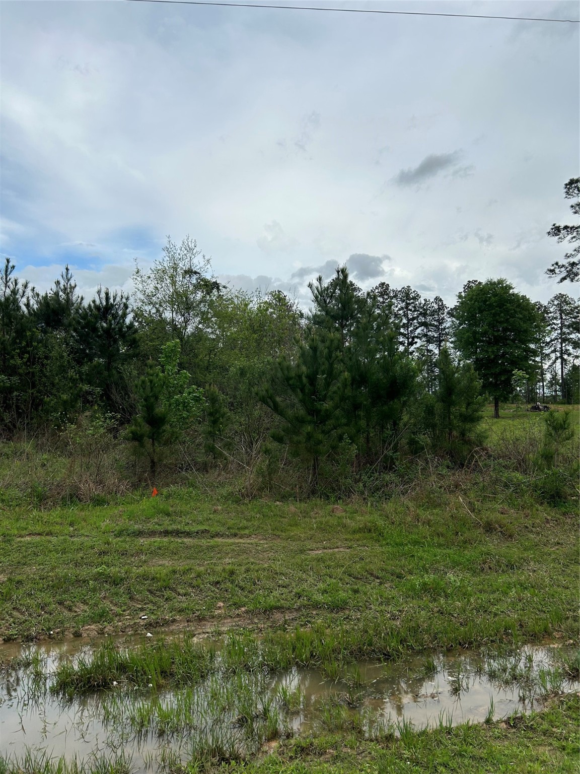 1760 Road 5018 Cleveland, TX 77327 - Photo 4 of 18