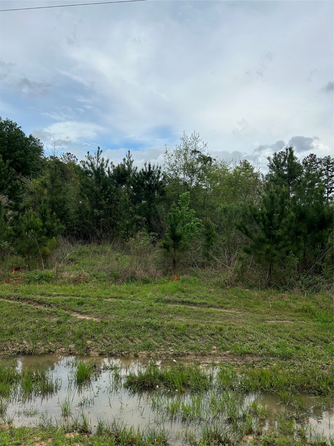 1760 Road 5018 Cleveland, TX 77327 - Photo 5 of 18
