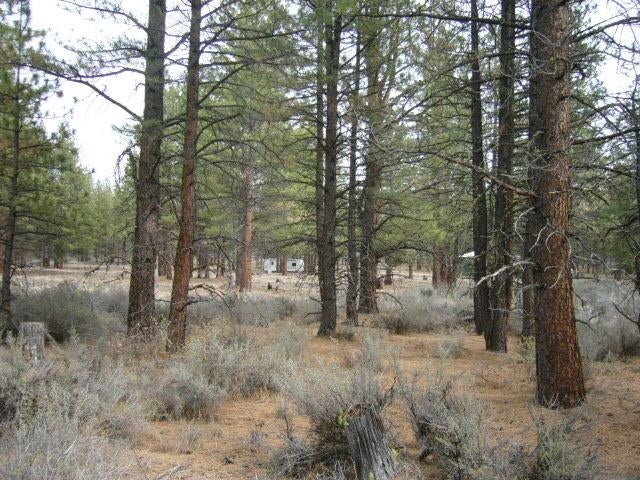 4.29 Acres Antelope Road Macdoel, CA 96058 - Photo 8 of 14 Gallery Image 8