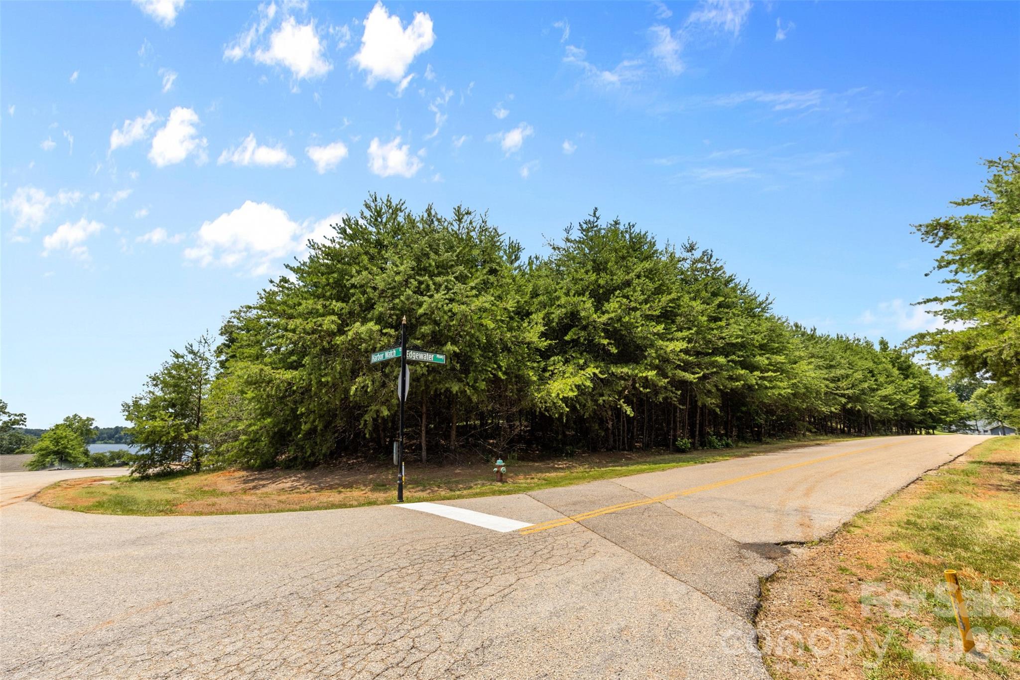 19720 Harbor Watch Court Lancaster, SC 29720 - Photo 7 of 14