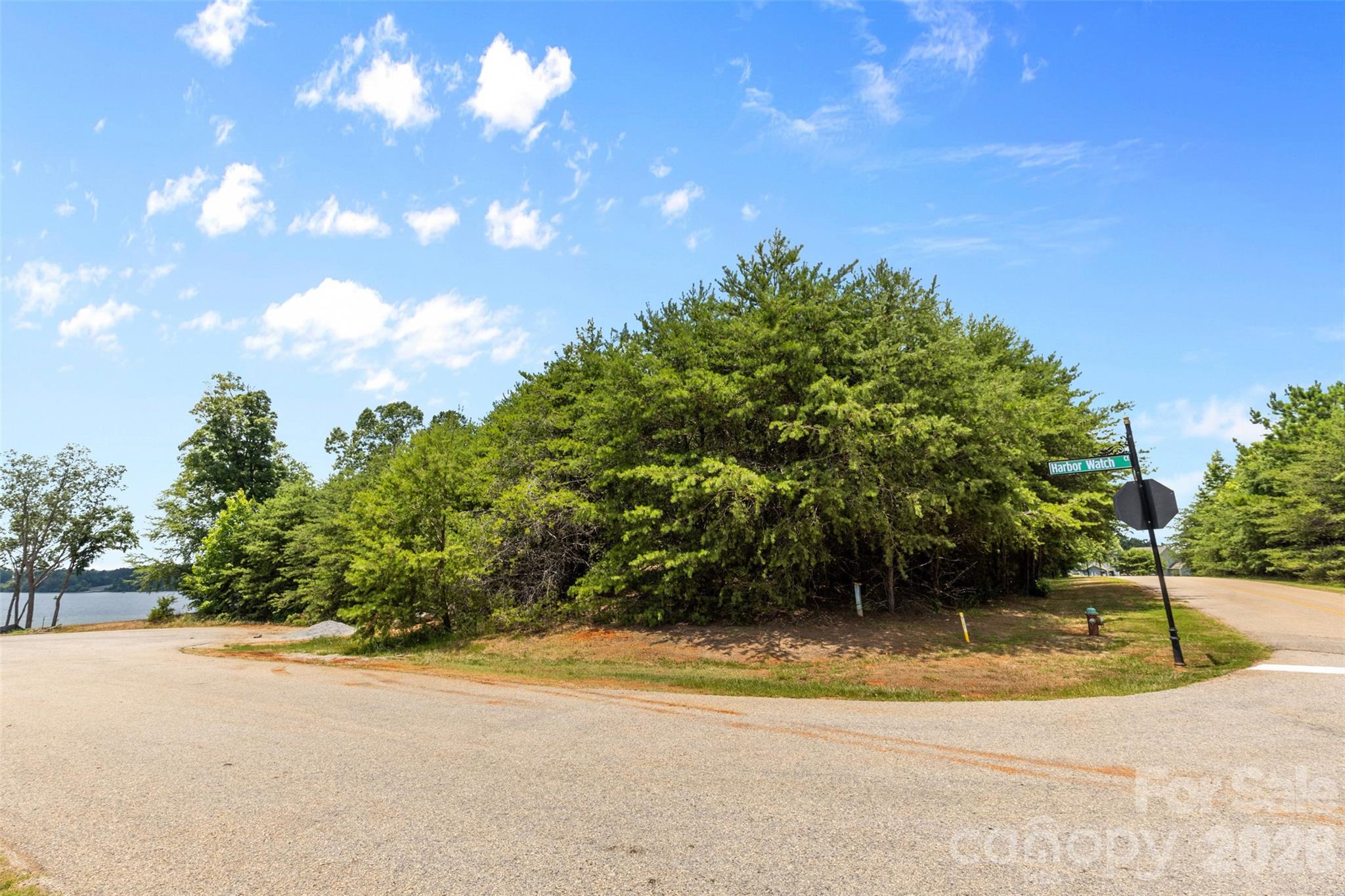 19720 Harbor Watch Court Lancaster, SC 29720 - Photo 8 of 14