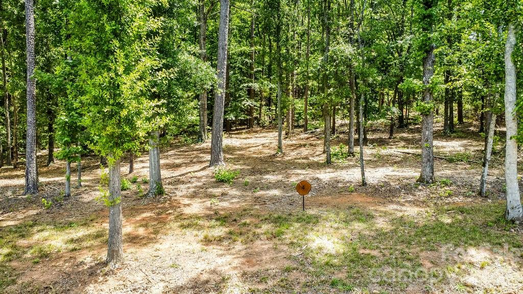 140 Flowing Rock Road, Unit 4 Honea Path, SC 29654 - Photo 10 of 13