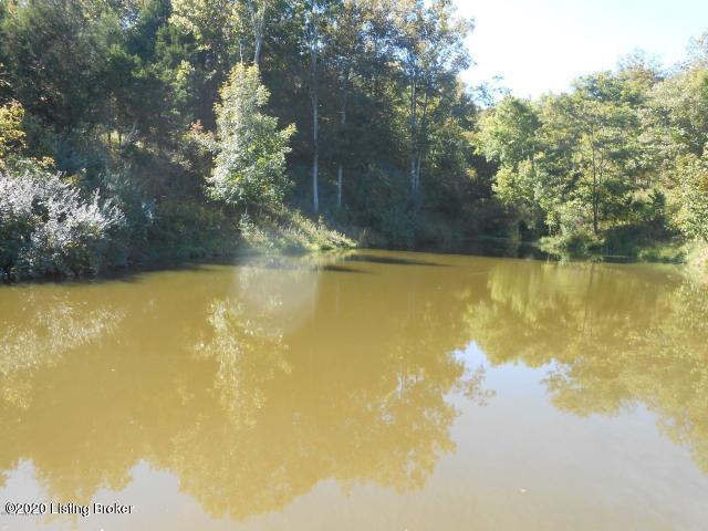 901 Goose Creek Road Bagdad, KY 40003 - Photo 24 of 28 Pond1