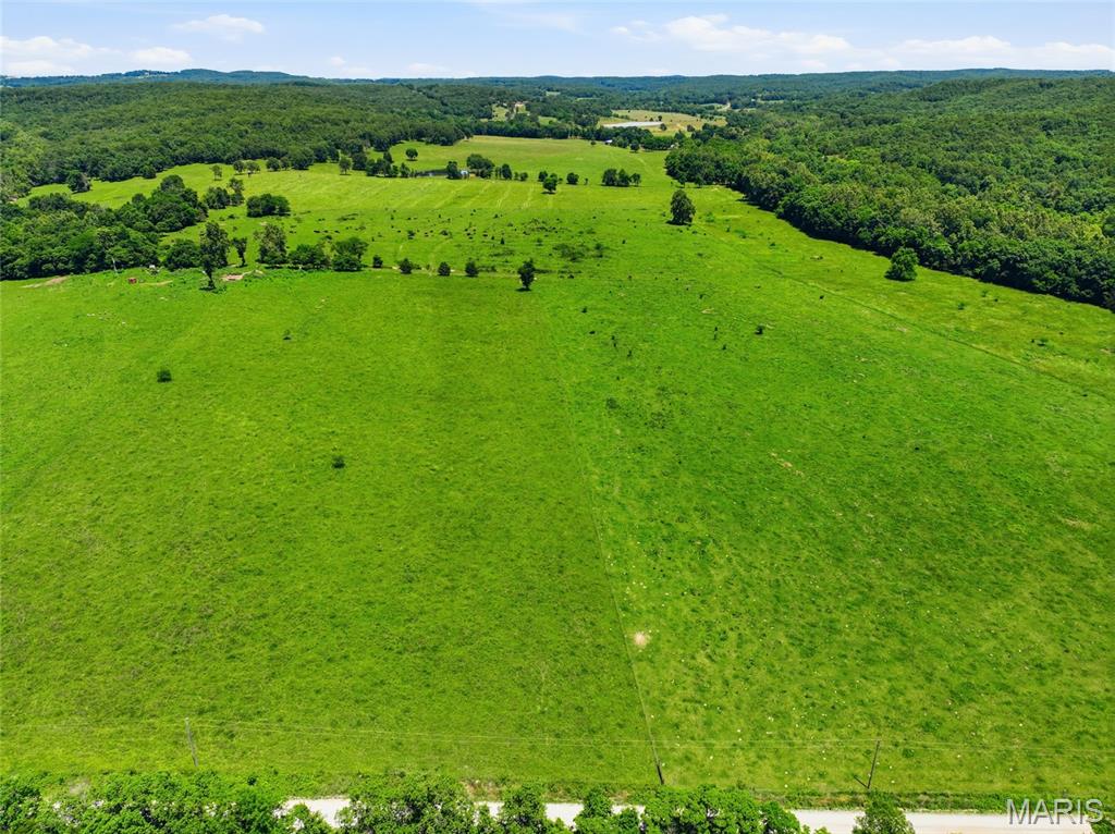 0 Pleasant Hill Road Mountain Grove, MO 65711 - Photo 3 of 51