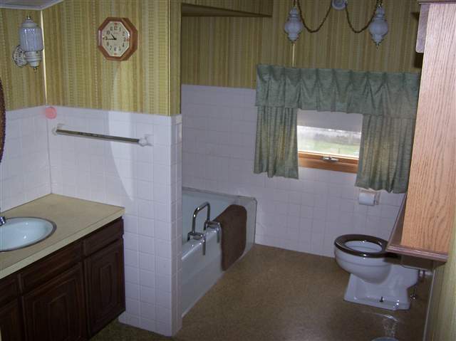 9433 North Baker Road Lena, IL 61048 - Photo 3 of 12 a bathroom with a granite countertop toilet sink and mirror