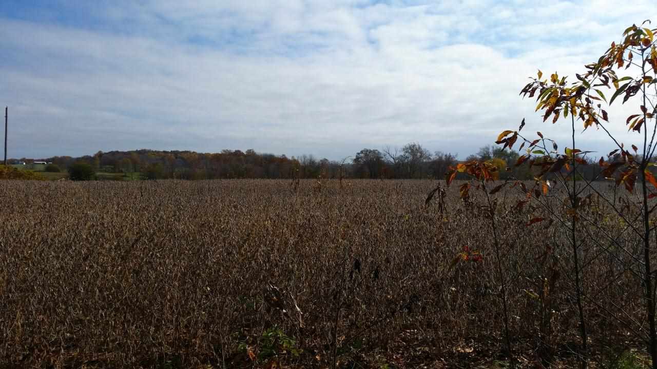 19 A Spencer Pike Road Springville, IN 47462 - Photo 2 of 11
