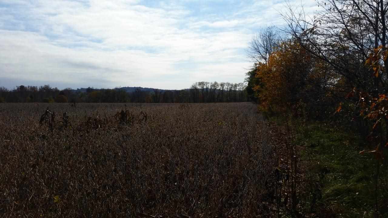 19 A Spencer Pike Road Springville, IN 47462 - Photo 3 of 11