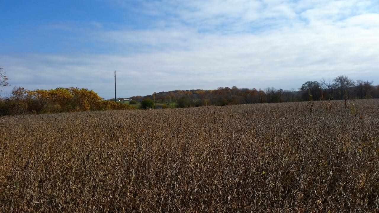 19 A Spencer Pike Road Springville, IN 47462 - Photo 4 of 11