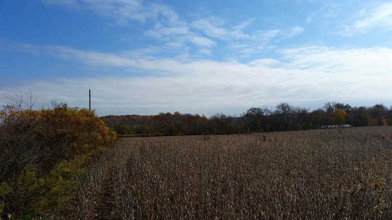 19 A Spencer Pike Road Springville, IN 47462 - Photo 5 of 11