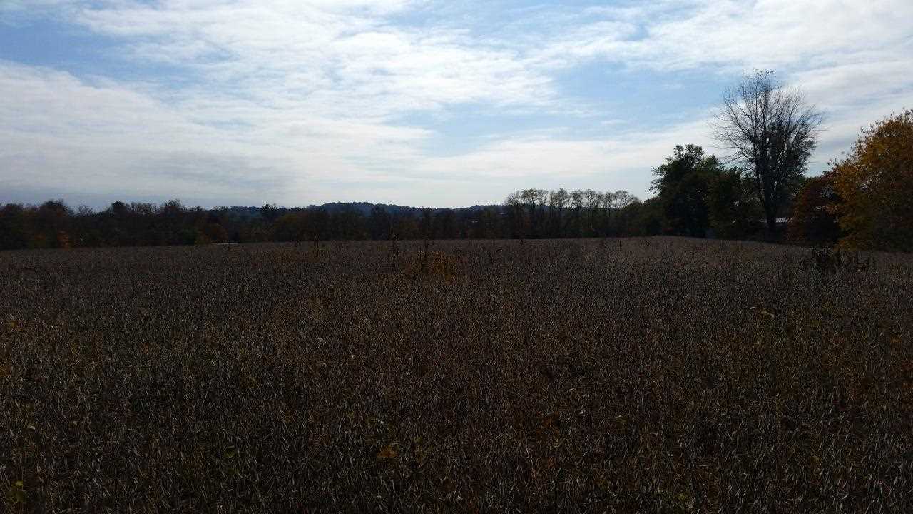 19 A Spencer Pike Road Springville, IN 47462 - Photo 6 of 11