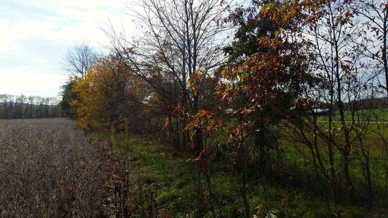 19 A Spencer Pike Road Springville, IN 47462 - Photo 7 of 11
