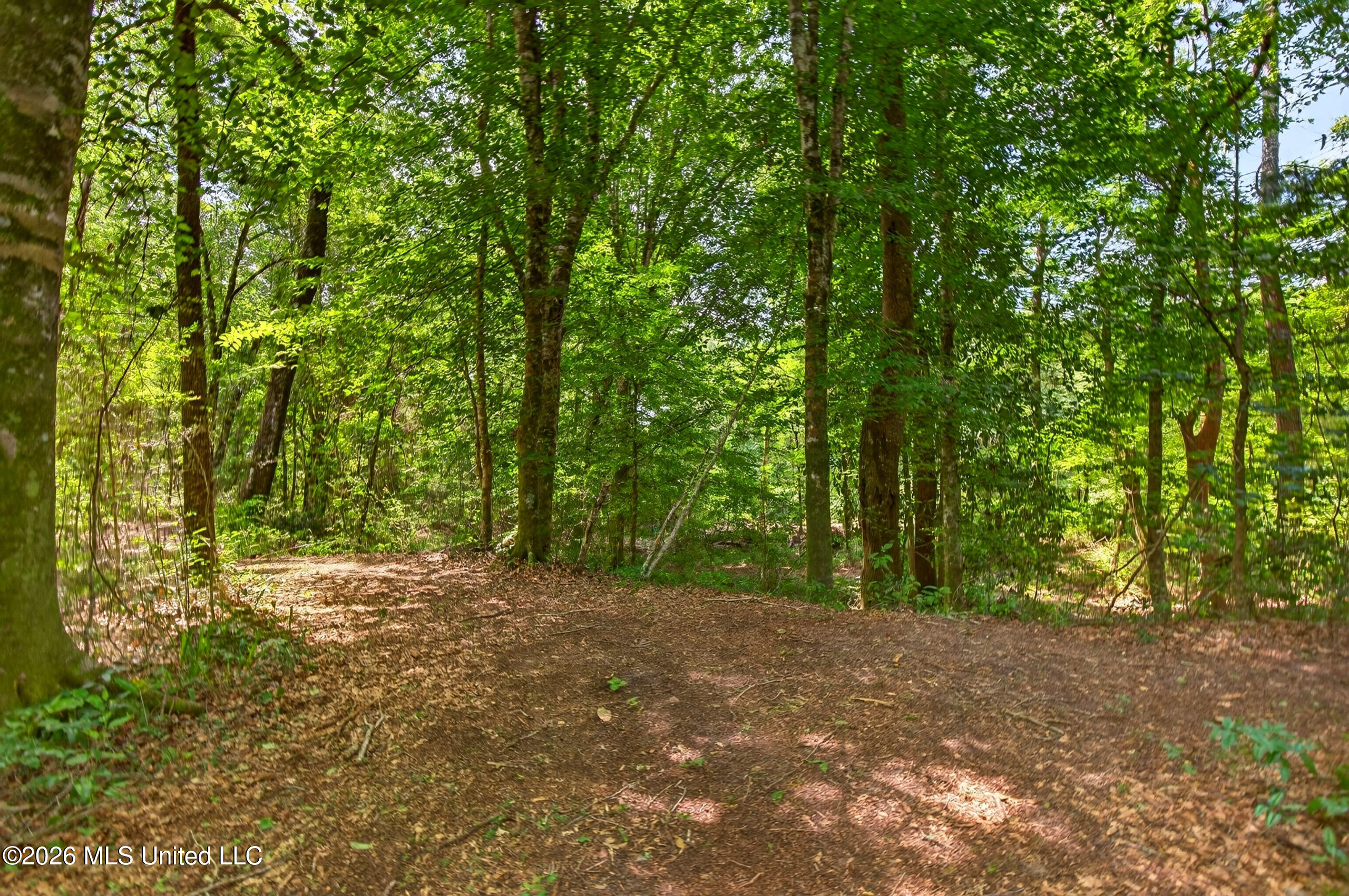 78 Game Reserve Road Columbia, MS 39429 - Photo 61 of 83 78GamerReserveRd.-53