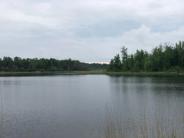 $99,000 | 9 A Hines Road Northeast, Blackduck, MN 56630