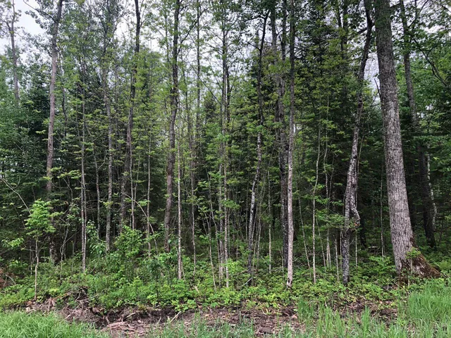 $99,000 | 9 A Hines Road Northeast, Blackduck, MN 56630