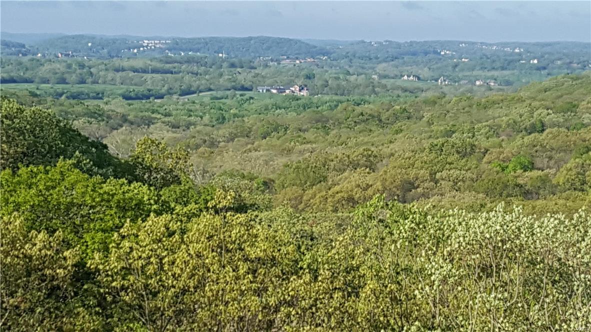 1553 Ridge Road Wildwood, MO 63021 - Photo 2 of 49