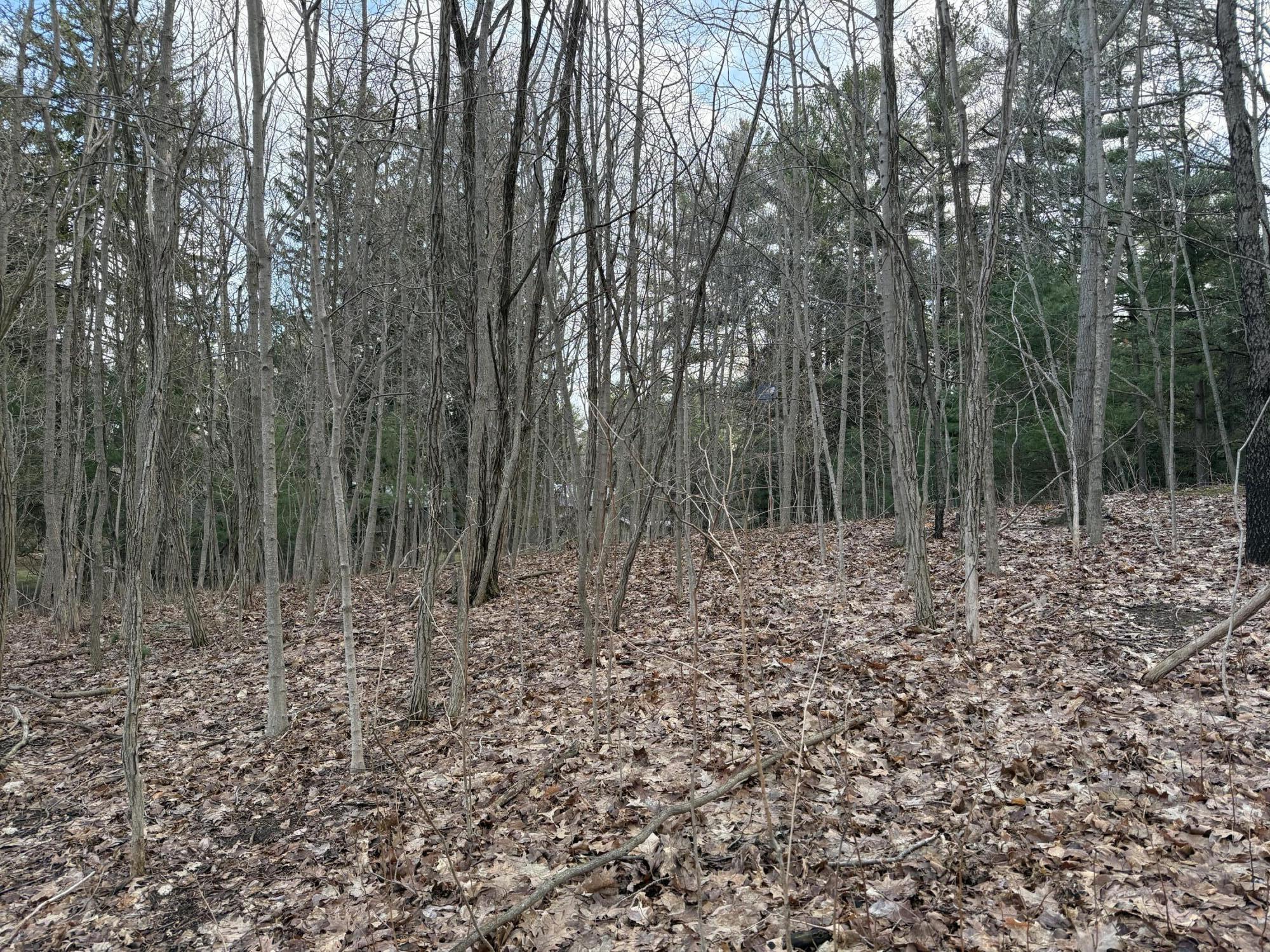 0 Tower Hill Road Sawyer, MI 49125 - Photo 12 of 22 IMG_0591