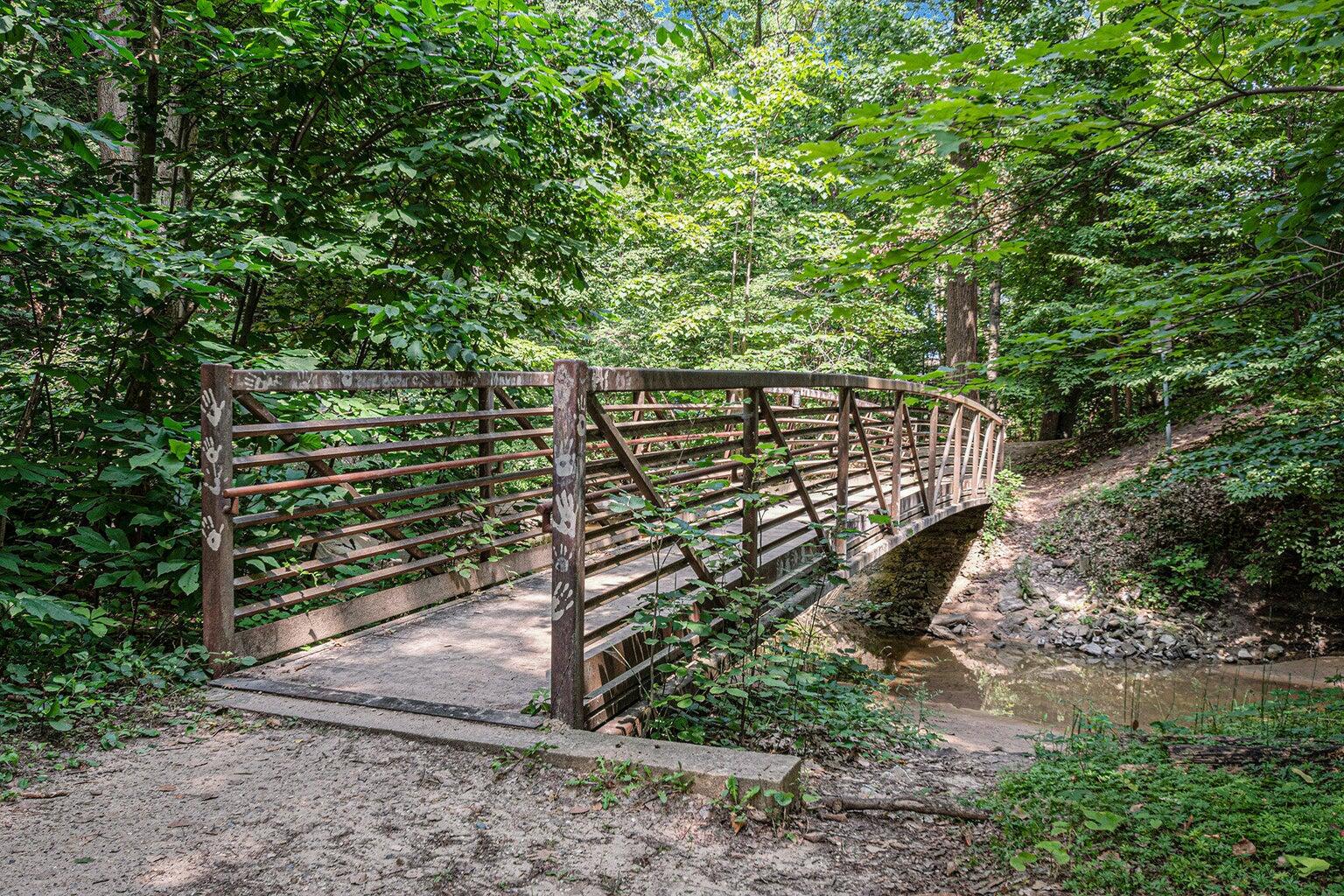0 Tower Hill Road Sawyer, MI 49125 - Photo 15 of 22 dunes bridge