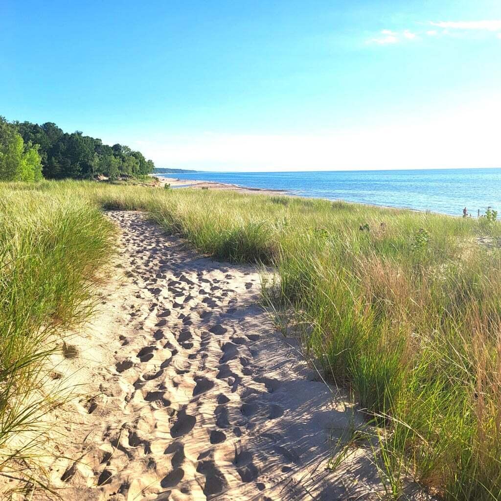 0 Tower Hill Road Sawyer, MI 49125 - Photo 20 of 22 dunes 1