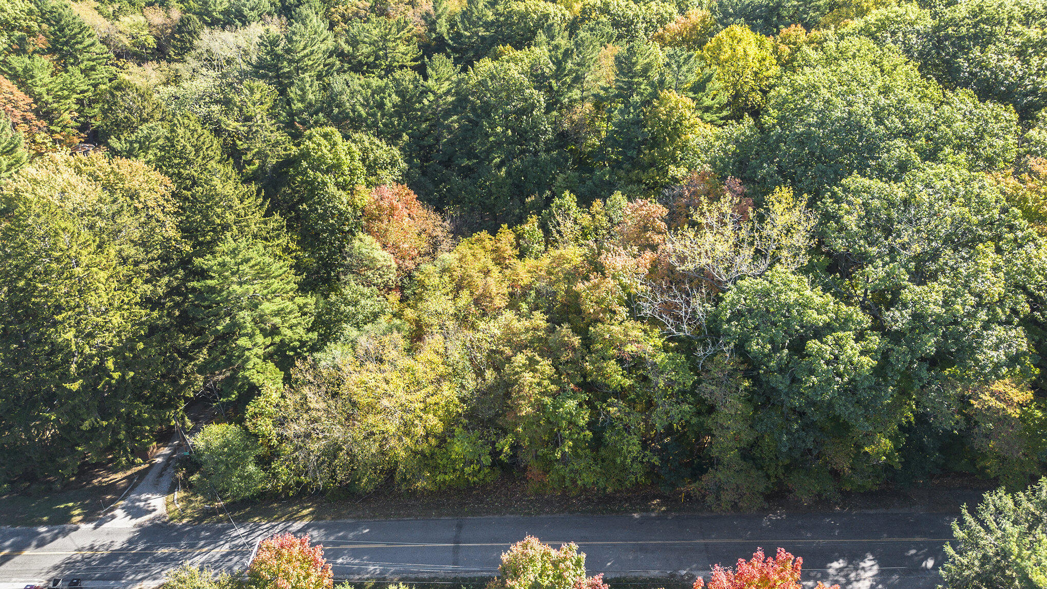 0 Tower Hill Road Sawyer, MI 49125 - Photo 2 of 22 001_dji_0905_386
